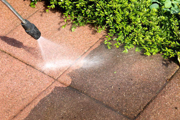 Best Fence Pressure Washing  in West Pelzer, SC